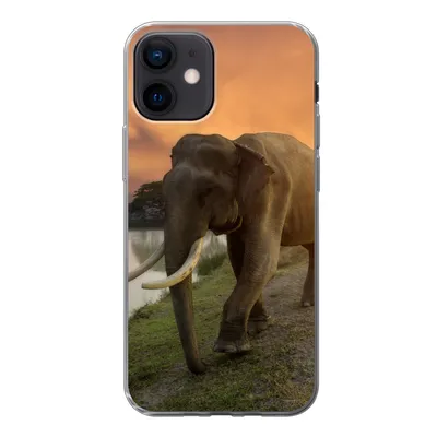 Produktbild von MuchoWow® Handyhülle Schutzhülle Hülle für iPhone 12 Elefant - Wasser - Tiere - Sonnenuntergang - Natur Silikon Softcase Handy Hülle - Schutzhülle