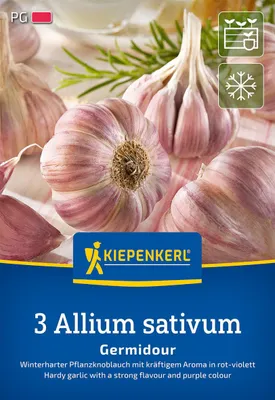 Artikelbild 2 von 'Knoblauch Germidour (3 Stück)' aus der Kategorie Winterpflanzknoblauch