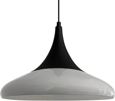 A pendant light fixture against a white background.