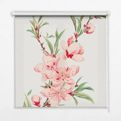 Produktbild von Seitenzug-Rollo Fensterrollo Jalousie - Lichtdurchlässig Springrollos - 80x140 cm - Rosa Blume