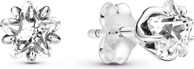 Produktbild von Pandora Himmlischer Funkelnder Stern Ohrringe 290023C01 Ohrringe