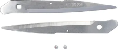 Two metal blades for shears and two small screws on a white background.