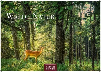 Produktbild von Wald & Natur Kalender 2027 - Wandkalender | Fotokalender Naturkalender 24x 35cm - Natürliche Schönheit & Ruhe für jeden Monat .