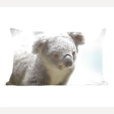 Produktbild von MuchoWow® Zierkissen Sofakissen Wohnzimmer Dekokissen 60x40 cm Koala - Porträt - Tier - Kinder - Jungen - Mädchen - Kopfkissen - Polster mit Foto