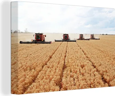 Produktbild von MuchoWow® - Leinwandbilder - Traktor mit Pflug in einem Weizenfeld, Wandbild, Wanddeko Bilder Wohnzimmer, 120x80cm