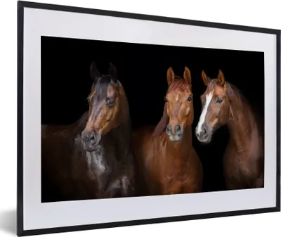 Produktbild von MuchoWow® MuchoWow® Gerahmtes Poster Pferde - Tiere - Schwarz - Porträt 60x40 cm - Poster mit zchwarzem Bilderrahmen - Schlafzimmer - Plakat in Rahmen - Drucken