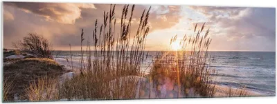 Produktbild von Bilder auf glas - Einteilig - Westen auf der Strand - 160x50cm - Glasbilder - Wandbilder - Bilder - zum Aufhängen bereit - Wanddekoration aus Glas - Glas Bilder - Wandbild auf Glas - GAB160x50-4710