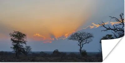 Produktbild von MuchoWow® Poster Die Landschaft des Kruger Parks in Südafrika bei Sonnenuntergang 160x80 cm - Foto Poster