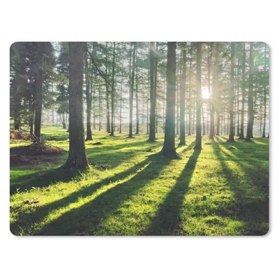 Produktbild von MuchoWow® Mauspad Mousepad Bäume - Natur - Wald 23x19 cm - Mousepads - Maus Mat - Pad - Mausunterlage - Schreibtischunterlage - Mauspad