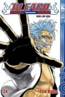 Produktbild von Bleach 24
