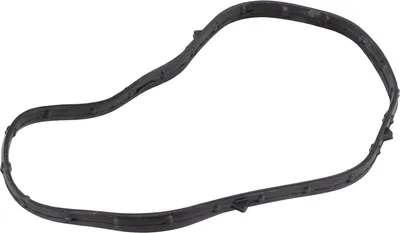Produktbild von Original Fiat Steuerkastendeckeldichtung passend für Ducato 244/250 504380138