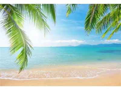 Image de Fond photographique - Plage tropicale estivale - 2,13 x 1,52 mètres