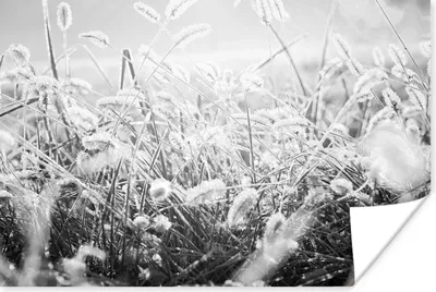 Produktbild von MuchoWow® Poster Winter - Eiscreme - Schwarz - Weiß 180x120 cm - Fotoplakat