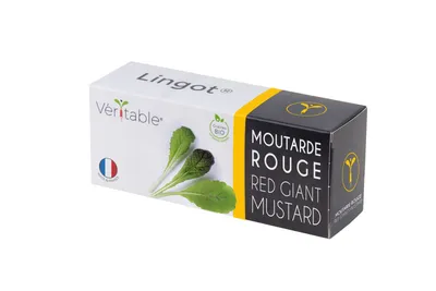 Produktbild von 1 Stk. Véritable® Lingot® Roter Blattsenf Nachfükllpack Kräuter Kräutergarten Samen Set