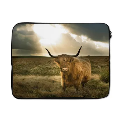 Produktbild von MuchoWow® Laptop Hülle 17 Zoll Laptoptasche Schottischer Hochländer - Sonne - Tiere - Zipper - Schutzabdeckung