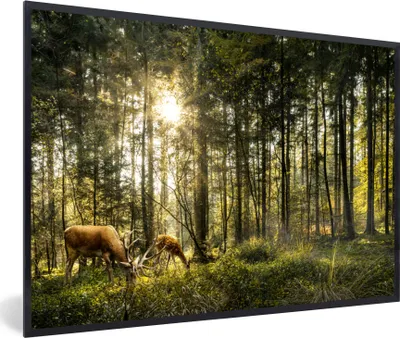 Produktbild von MuchoWow® MuchoWow® Gerahmtes Poster Hirsche - Natur - Wald 60x40 cm - Poster mit zchwarzem Bilderrahmen - Printing - Wanddeko Schlafzimmer