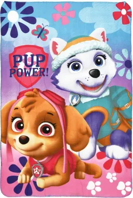 Produktbild von Paw Patrol Skye & Everest Kinder Fleece-Decke Kuscheldecke 100 x 150 cm