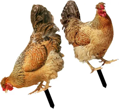 Produktbild von 2 Stück Gartenstecker mit Tierfigur als Hühnerpfähle für Garten, Blumenbeet und Rasen