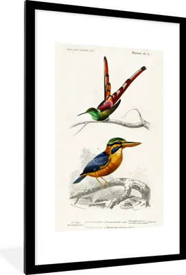 Produktbild von MuchoWow® MuchoWow® Gerahmtes Poster Vogel - Vintage - Zweig 60x90 cm - Poster mit zchwarzem Bilderrahmen - Dekoration - Wandposter Wohnzimmer - Hochwertig