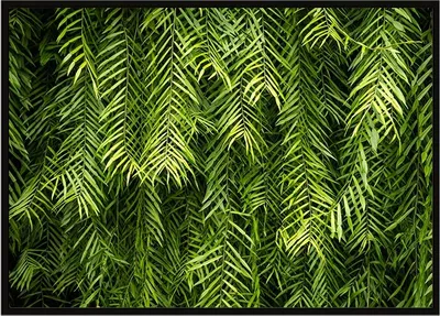Obrázek produktu pro Obrazový plakát v rámu 53x73 cm listy P993