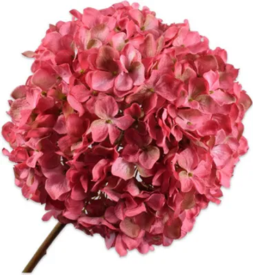 Produktbild von Silk-ka Künstlicher Blumen-Hortensienstiel aus Seide rosa 79 cm
