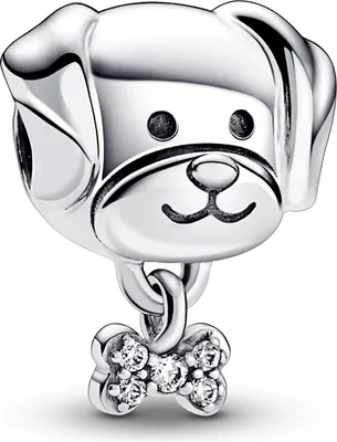 Zdjęcie produktu dla Pandora 792254C01 Charm Ladies Dog & Bone Zirconia Sterling Silver