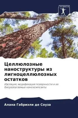 Produktbild von Cellüloznye nanostruktury iz lignocellüloznyh ostatkow