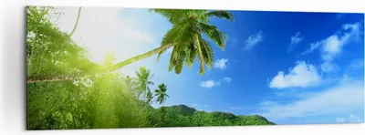Produktbild von Bild auf Leinwand - Leinwandbild - Baum Dschungel Welle Landschaft - 160x50cm - Wand Bild - Wanddeko - Leinwanddruck - Bilder - Kunstdruck - Leinwand bilder - Wandkunst - AB160x50-3169