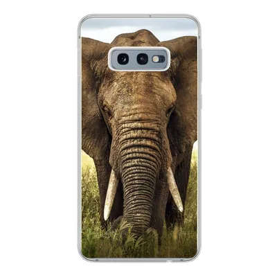Produktbild von MuchoWow® Handyhülle Schutzhülle Hülle für Samsung Galaxy S10e Elefant - Gras - Tiere - Natur Silikon Softcase Handy Hülle - Handy