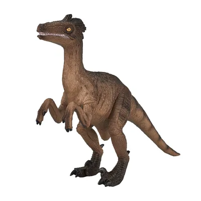 Produktbild von Mojo Fun Velociraptor, 3 Jahr(e), PREHISTORIC LIFE, Braun, Schwarz, Polyvinylchlorid (PVC)