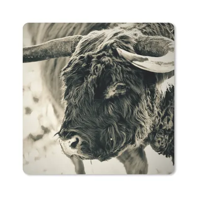 Produktbild von MuchoWow® Mauspad Mousepad Schottischer Highlander - Schnee - Hörner 30x30 cm - Mousepads - Maus Mat - Pad - Mausunterlage - Gaming