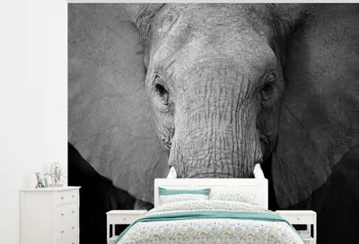 Produktbild von MuchoWow® Fototapete für Wohnzimmer oder Schlafzimmer Wandtapete Vinyl Motivtapete Nahaufnahme eines Elefanten - schwarz und weiß - 325x260 cm - Tapete