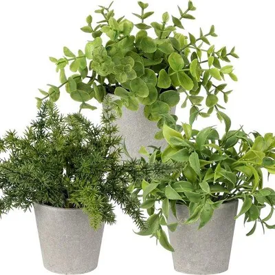 Image de Plantes artificielles et romarin en petits pots, d'intérieur, pour le bureau à domicile, la chambre, la cuisine ou la décoration de table.