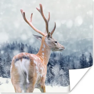 Produktbild von MuchoWow® Poster Rotwild - Schnee - Tier 50x50 cm - Wohnzimmerdekoration