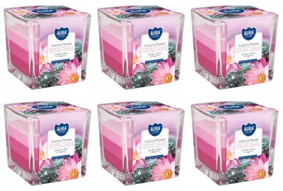 Produktbild von BISPOL AURA Duftkerze im Glas Kaktusblüte 6er Pack