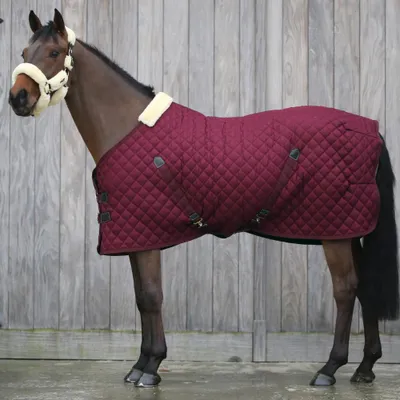 Produktbild von Kentucky Horsewear Stalldecke 400g - bordeaux