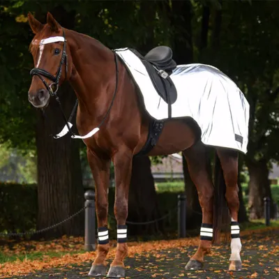Image de Reflex : Couverture de selle