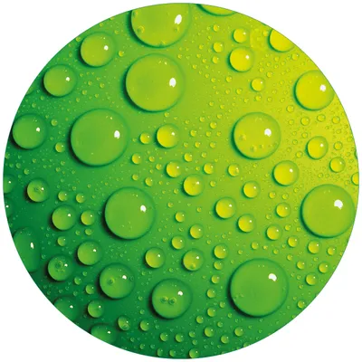 Produktbild von Wallario Premium Glasbild, freischwebende Optik, kräftige Farben, rund 50cm Durchmesser, Motiv Wassertropfen auf Grün