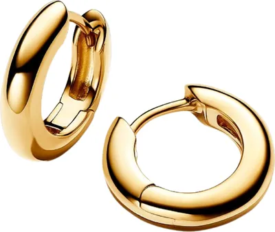 Produktbild von Pandora Damen Scharnier-Creolen 16 mm, Gold, eleganter Ohrschmuck