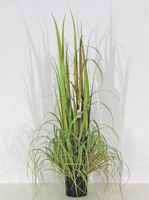 Produktbild von Velda Künstliches Ziergras Größe S Kunststoff 851009