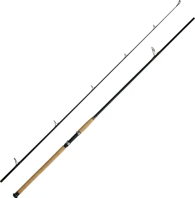 Obrázok produktu pre WFT Morská udica Charisma Power II (180-620 g)