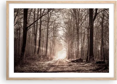 Produktbild von Gerahmtes Poster - Rahmen in heller Eiche - Wald Straße Baum - 70x50 cm - Wand Bild - Wanddeko - Wandbilder - Kunstposter - Wandposter - Bilderrahmen - Bilder - Kunstdruck - Wandbild - P2NAA70x50-3620