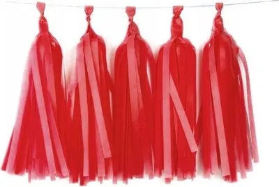 Produktbild von Tassel Girlande 140cm mit 5 Papierfransen - Elegante Party Deko für Hochzeit & Geburtstag