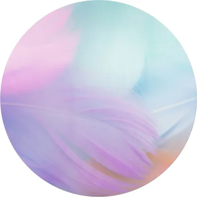 A close-up abstract view of soft, pastel-colored feathers.