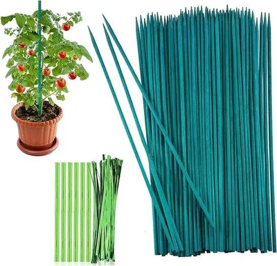 Produktbild von Gartenstöcke 30 cm - 50 Stück - Grüne Blumenstöcke mit Metallbindern