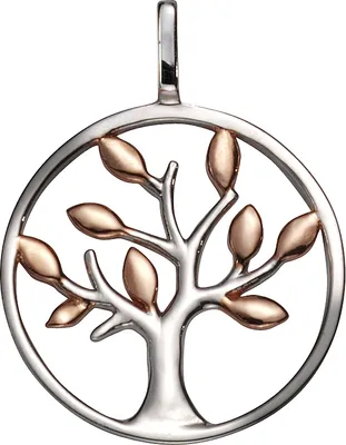 Produktbild von F Anhänger 925/- Sterling Silber 25,5cm rot 360242072