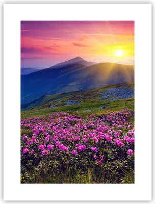 Produktbild von Poster - Poster ohne Rahmen - Wiese Berge Landschaft - 30x40 cm - Wand Bild - Wanddeko - Wandbilder - Kunstposter - Wandposter - Bilder - Kunstdruck - Wanddekoration - Wandbild - P2XPA30x40-2676