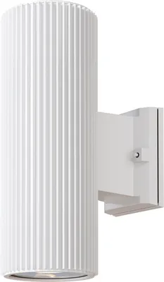 Obrázek produktu pro Maytoni RANDO venkovní nástěnné svítidlo E27, 60 W, 2 žárovky, bílá/čirá, IP54