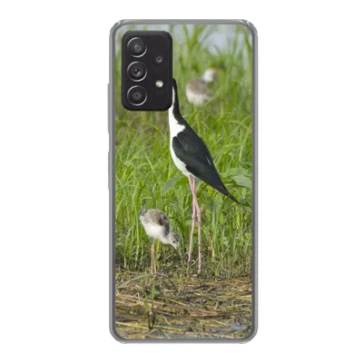 Produktbild von MuchoWow® Handyhülle Schutzhülle Hülle für Samsung galaxy a73 Vogel - Gras - Küken - Sumpf Silikon Softcase Handy Hülle - Handyhülle