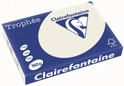 Produktbild von Clairefontaine Trophee Papier 1065C Grau 160g/m² DIN-A3 - 250 Blatt